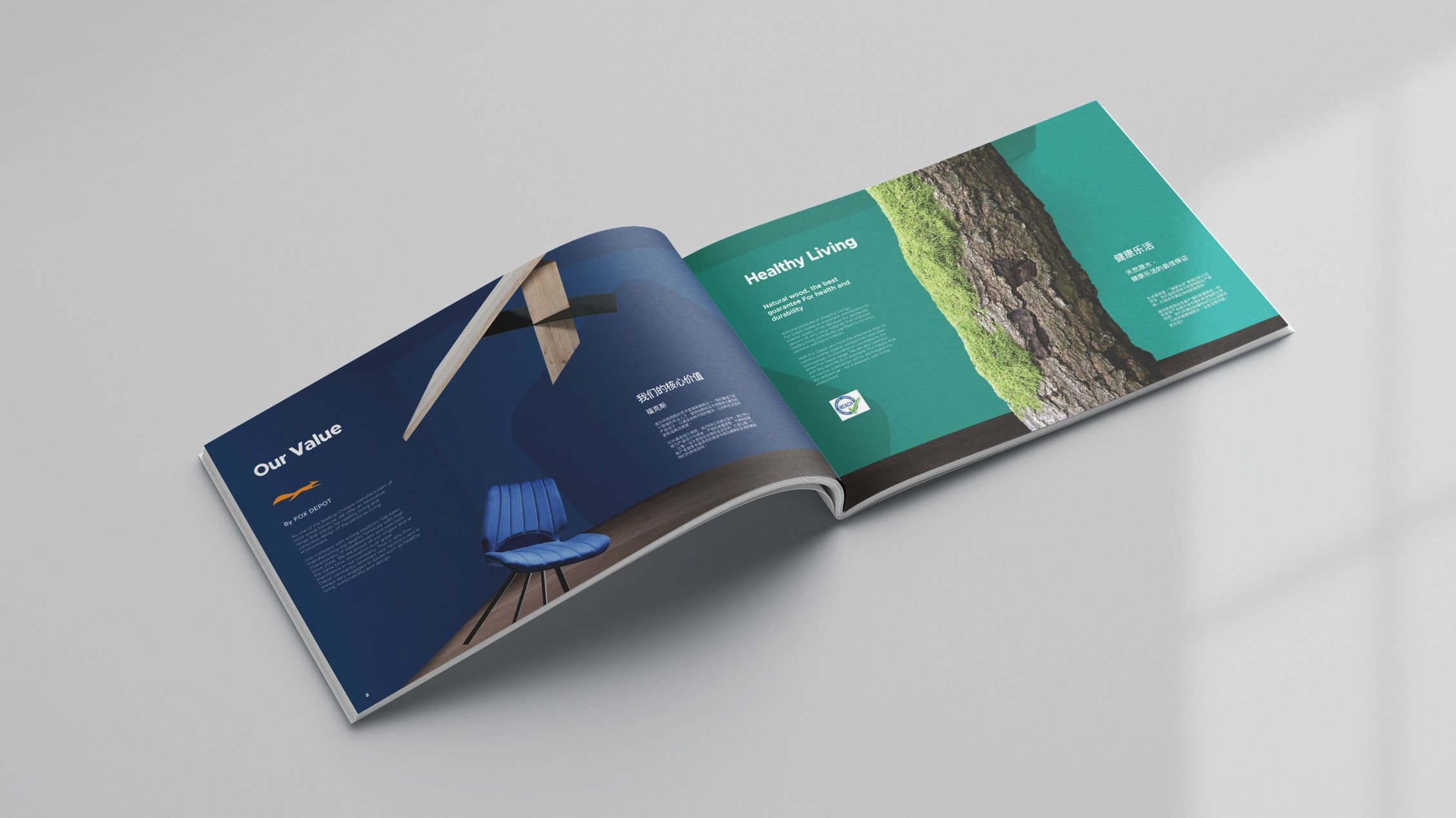 Catalog Design Introductions page