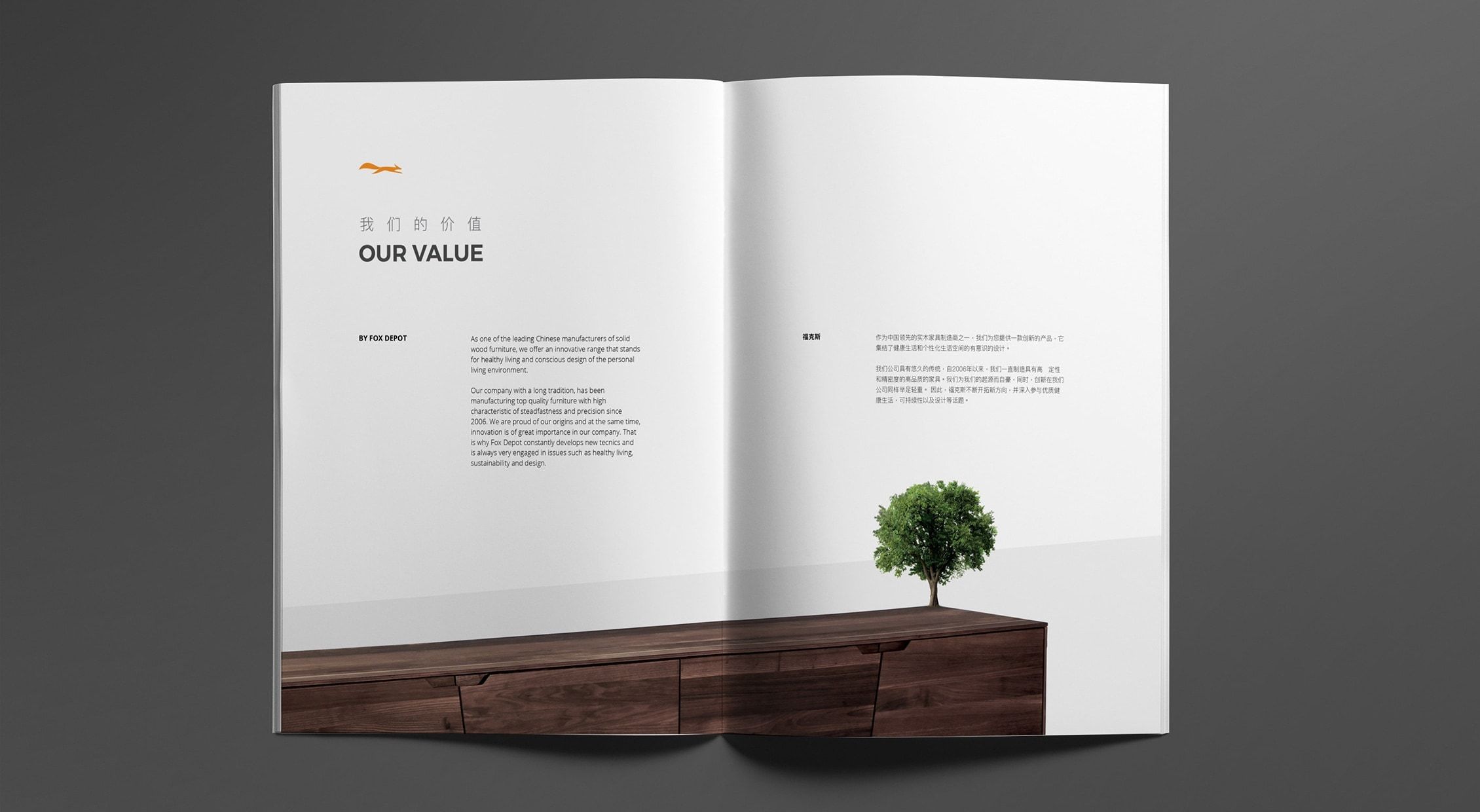  การออกแบบ catalog detailed design FOX DEPOT