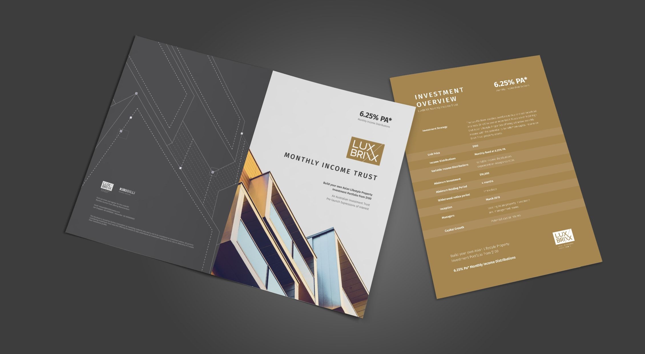 การออกแบบ Brochure graphic design LuxBrixx_back Front