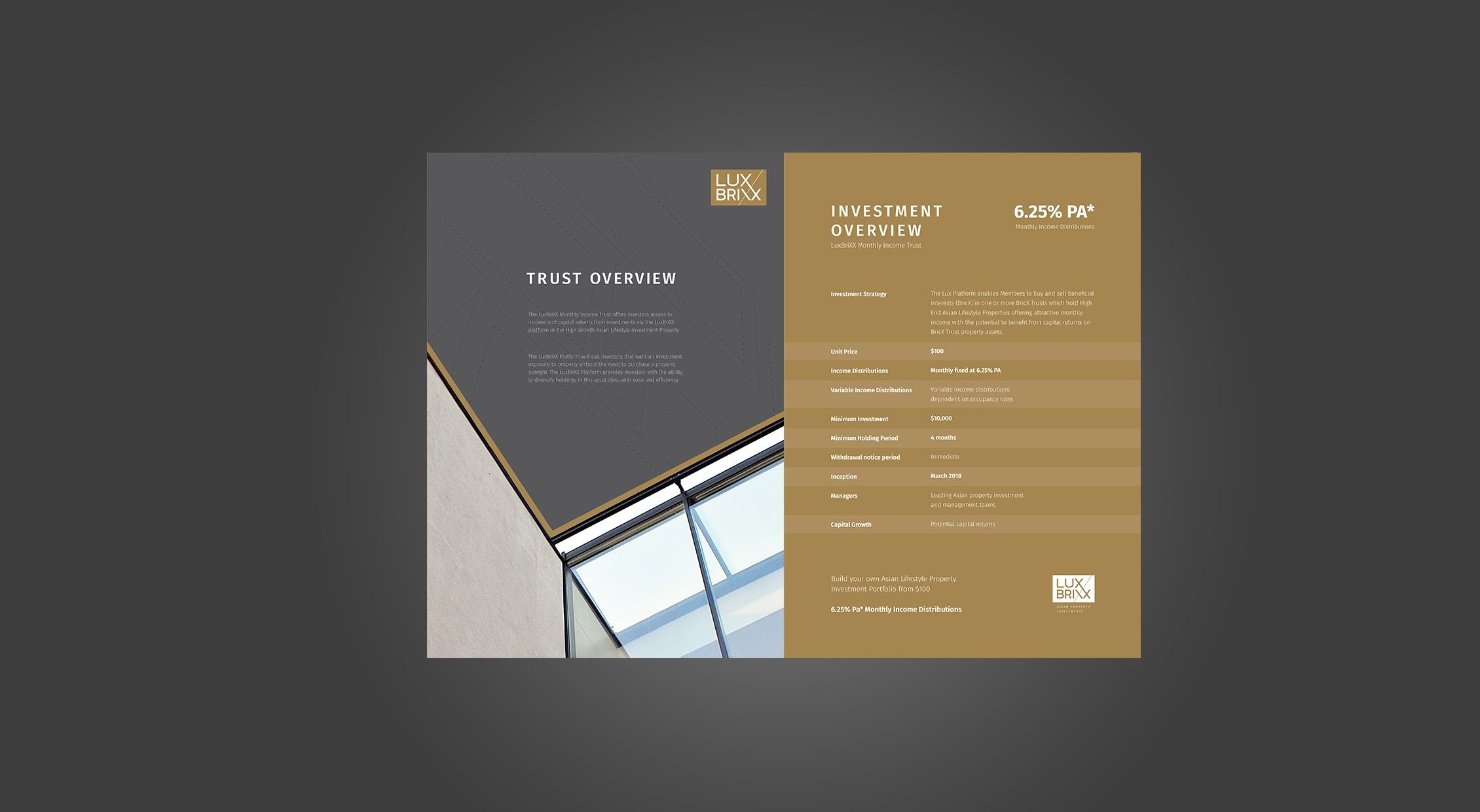 การออกแบบ Brochure graphic design LuxBrixx detail