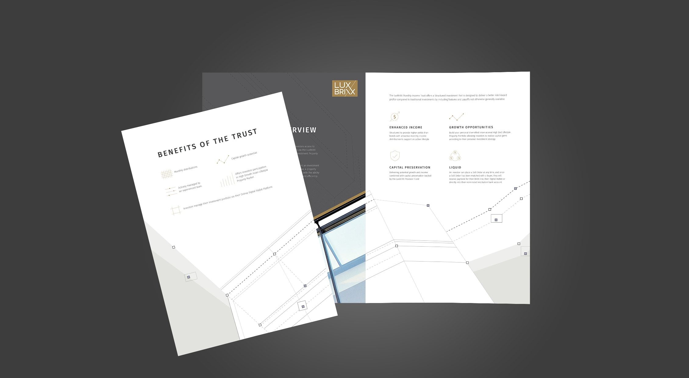 การออกแบบ Brochure graphic design LuxBrixx_more detail