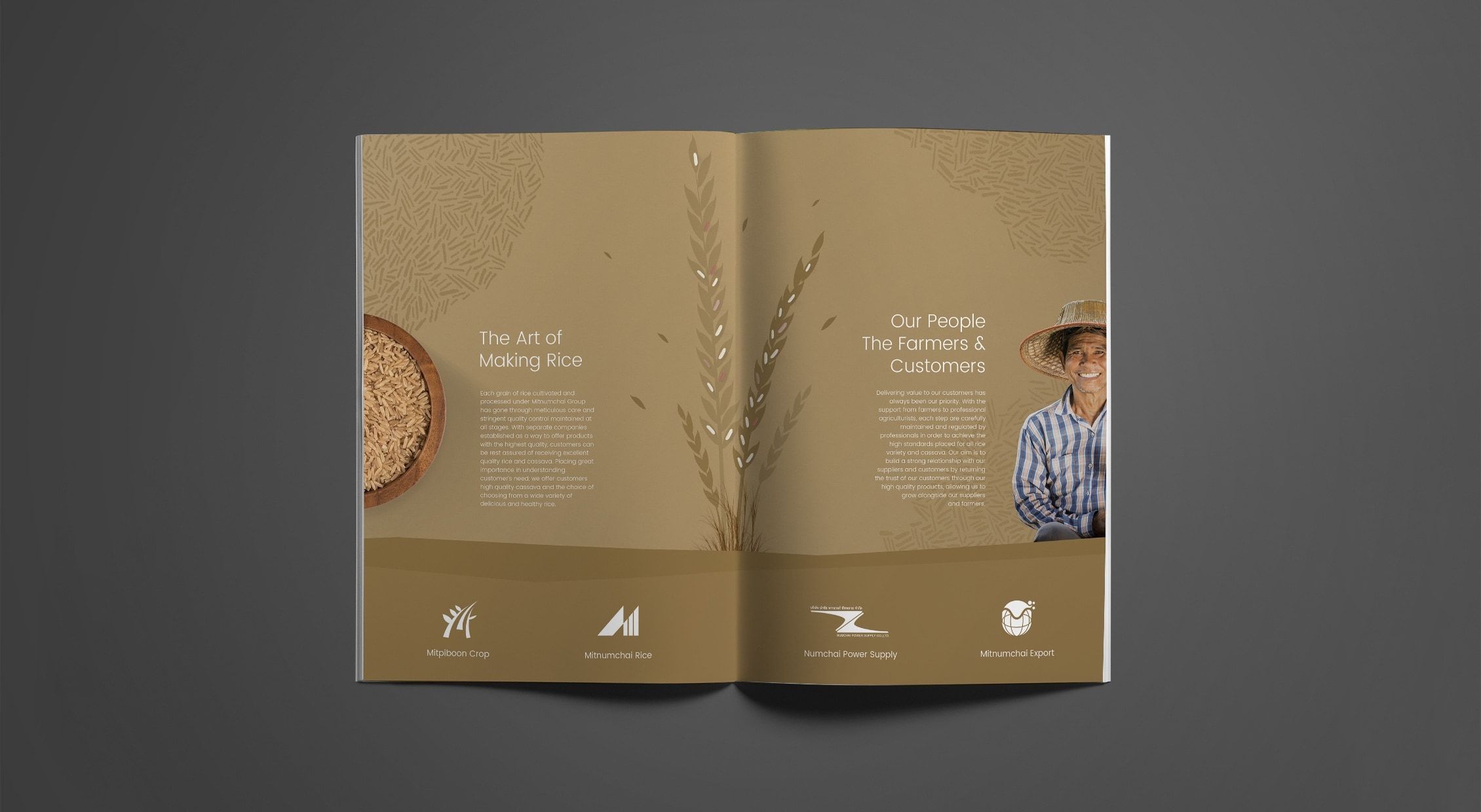 brochure detailed