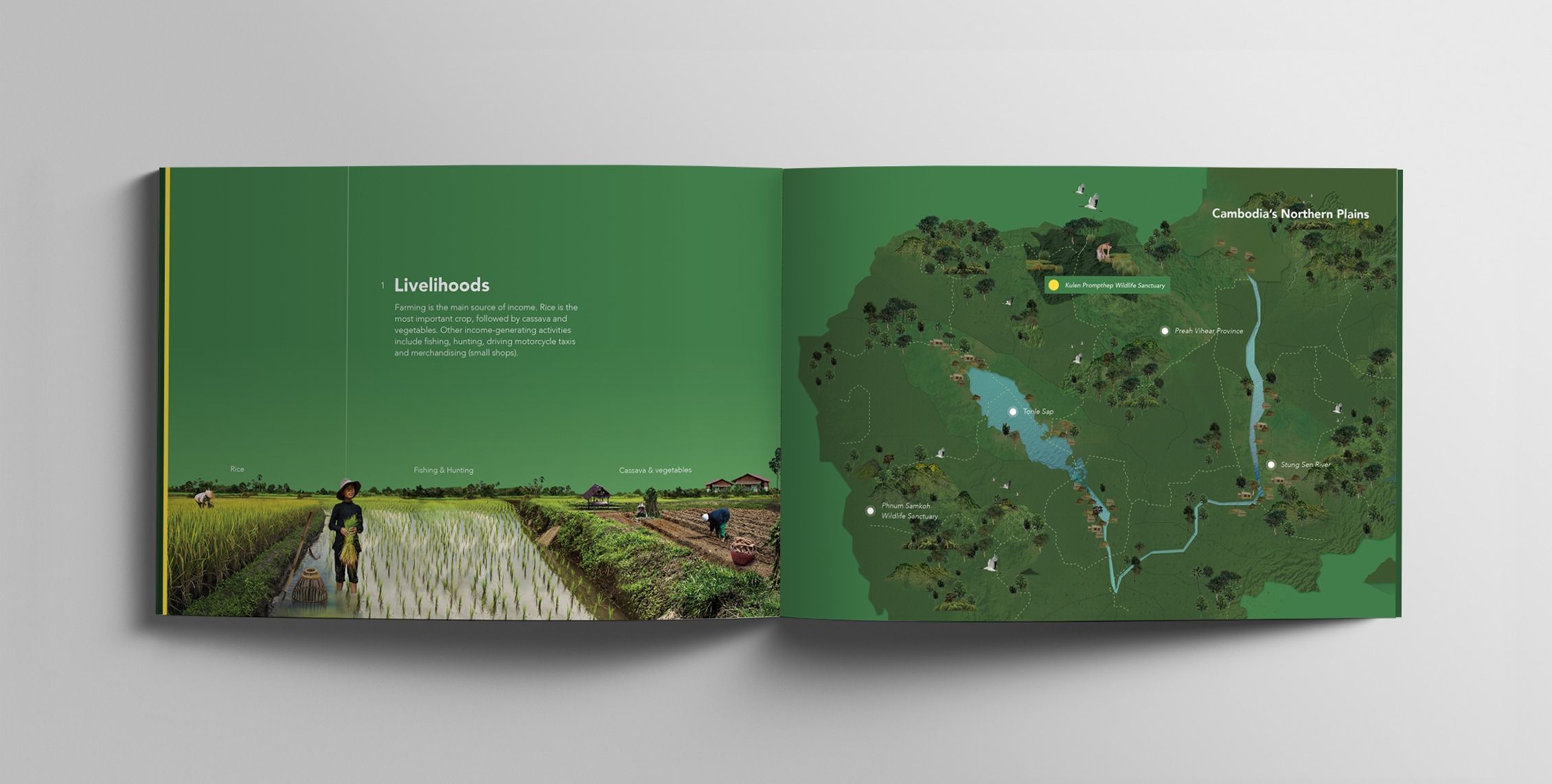 sumernet professional brochure design sei 