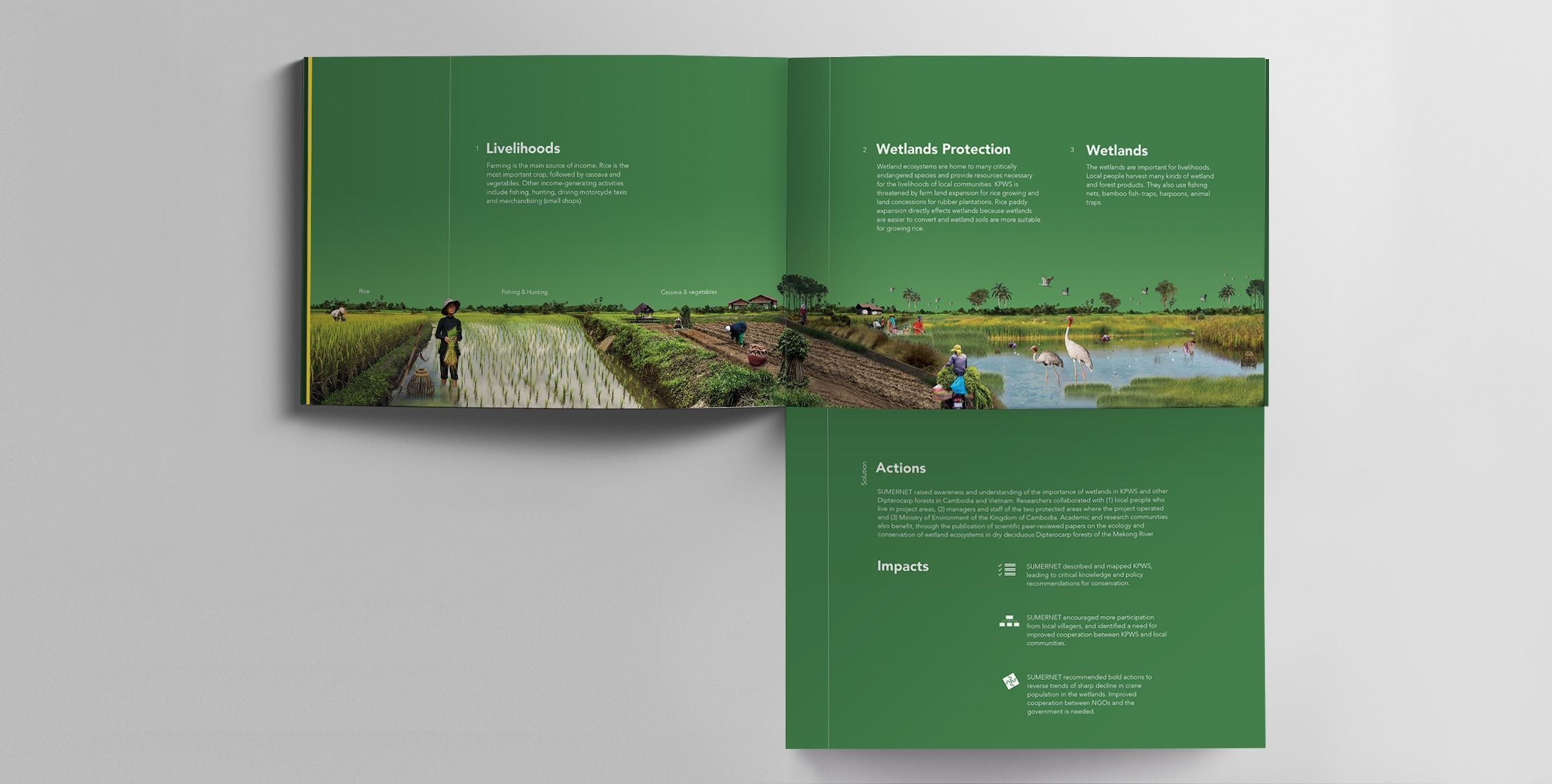 Sumernet professional brochure design bangkok