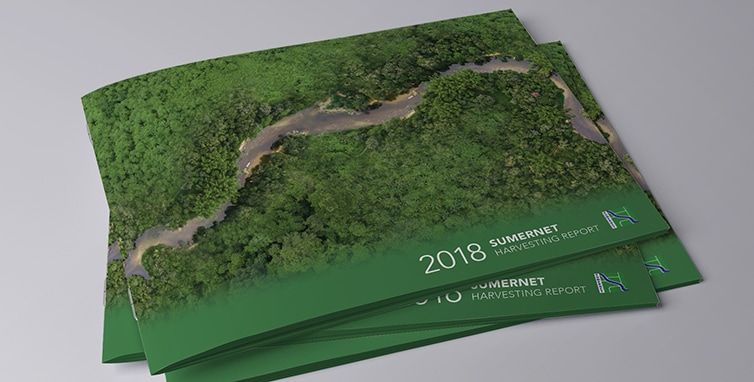 sumernet professional brochure design sei 