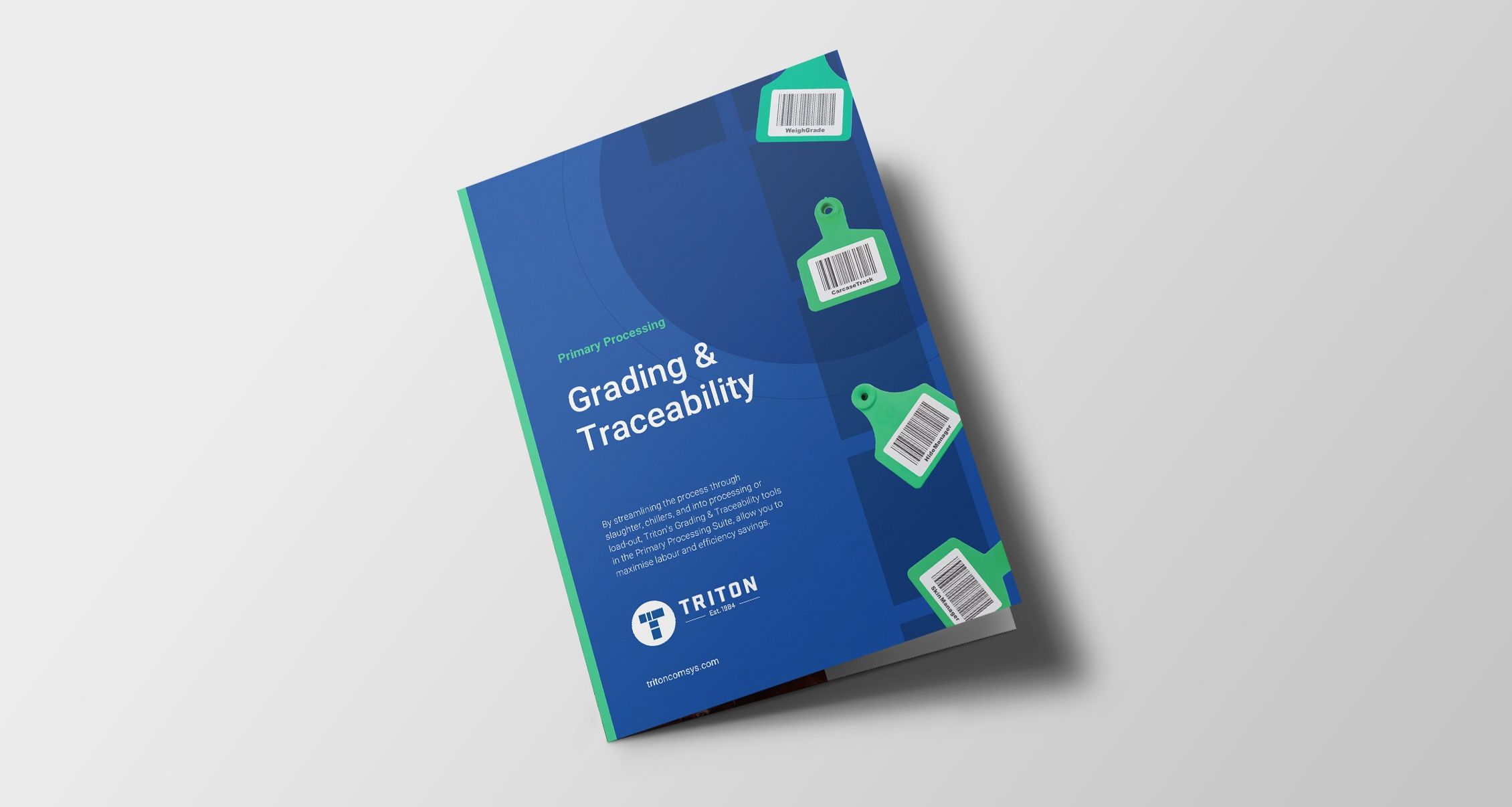 triton brand design