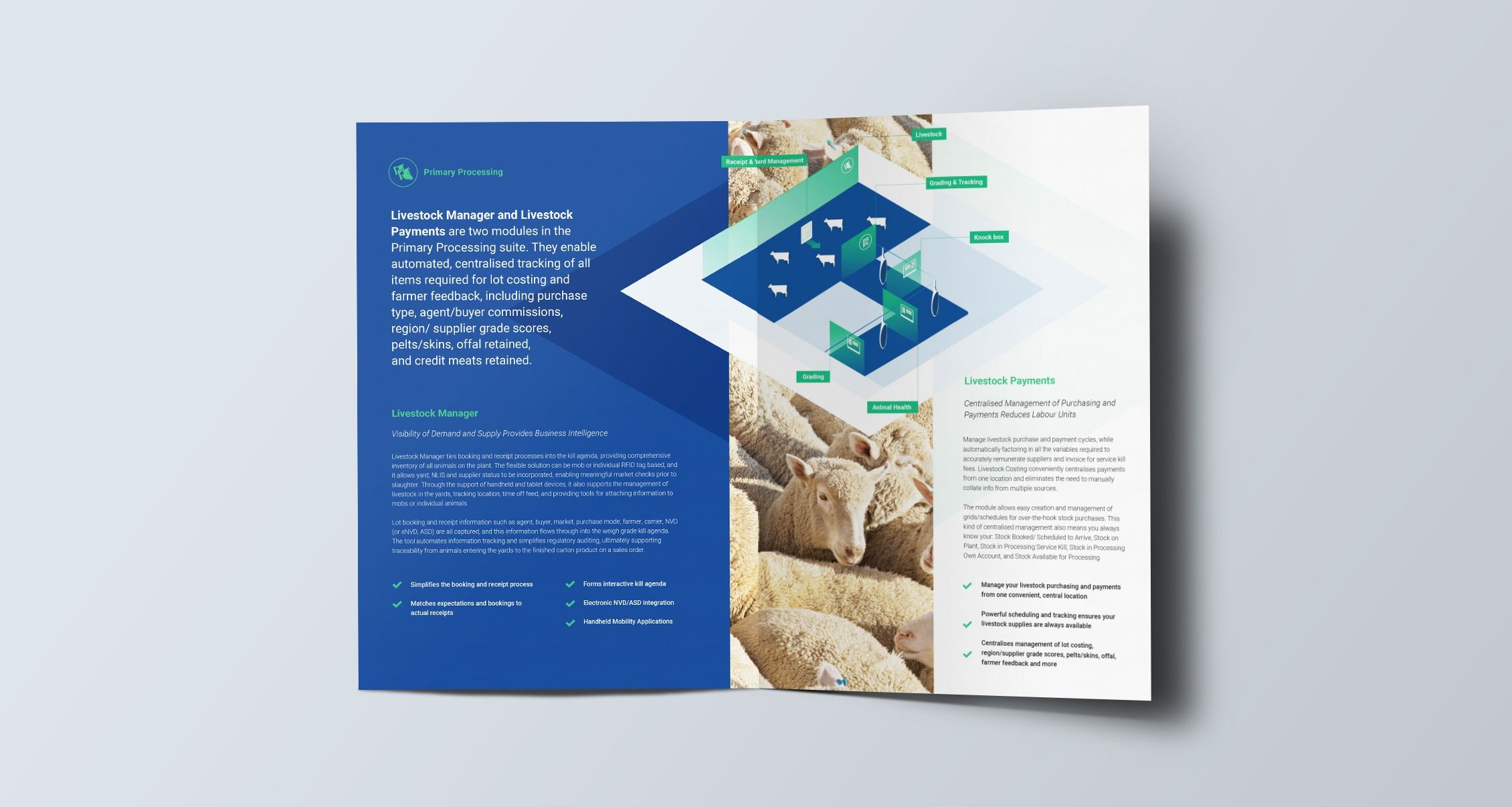 Brochure design