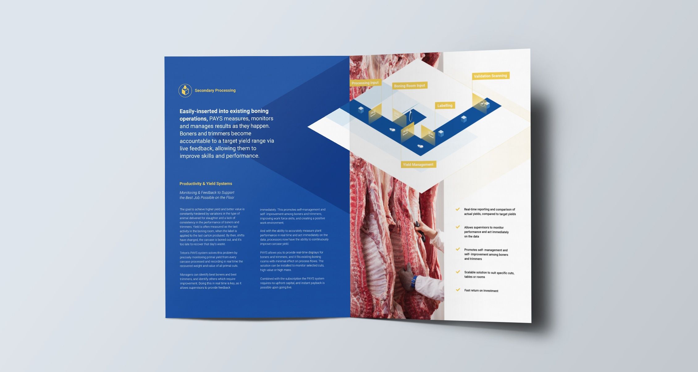 brochure design agency