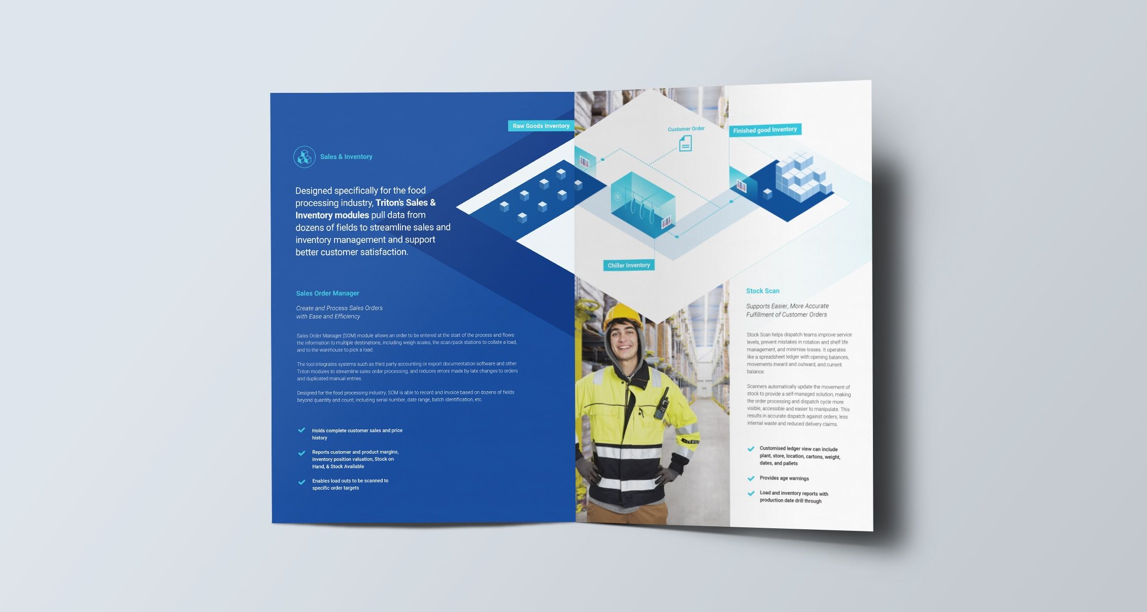 brochure design triton