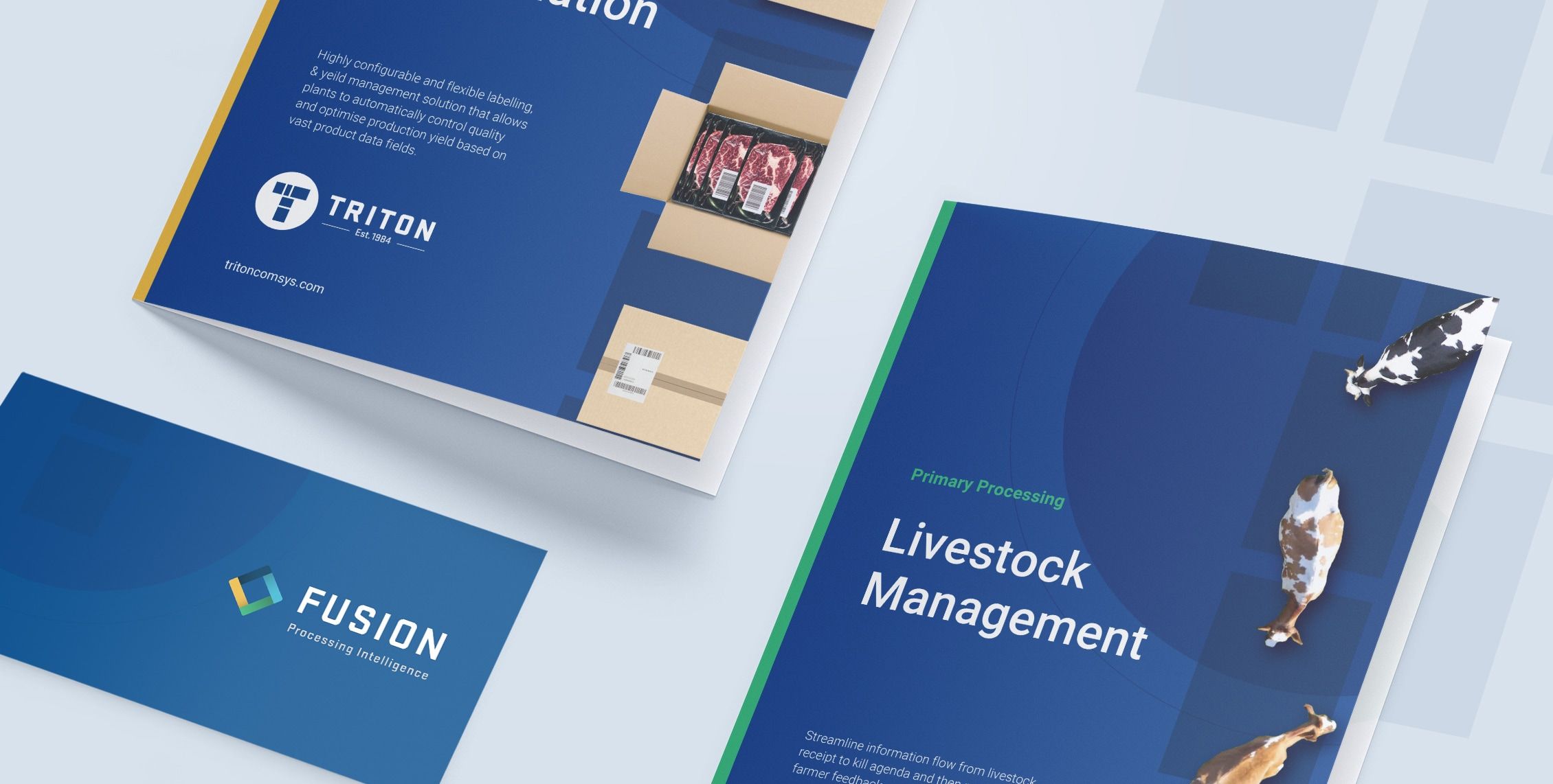 triton branding