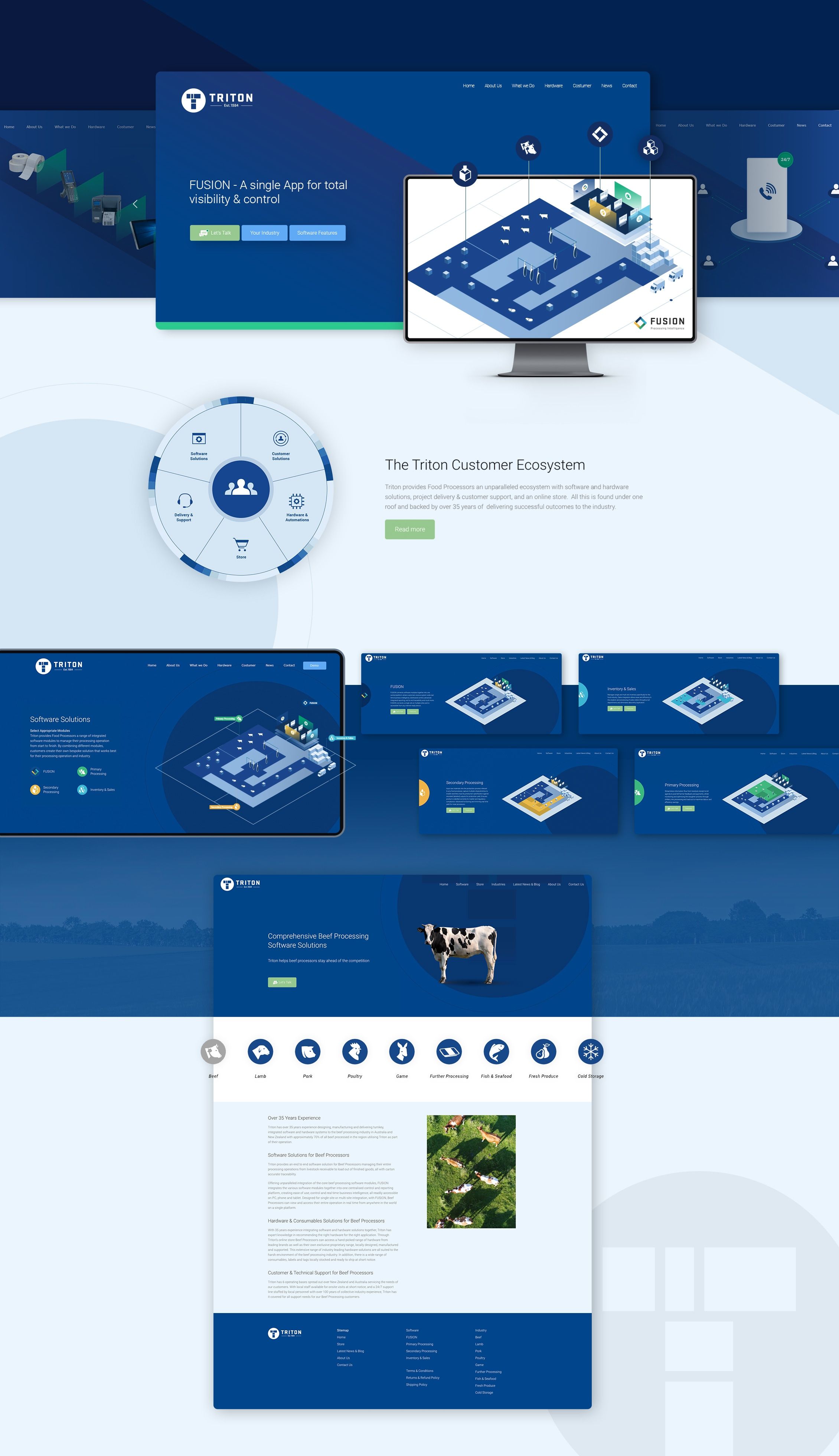 ออกแบบ เว็บไซต์ triton website detail