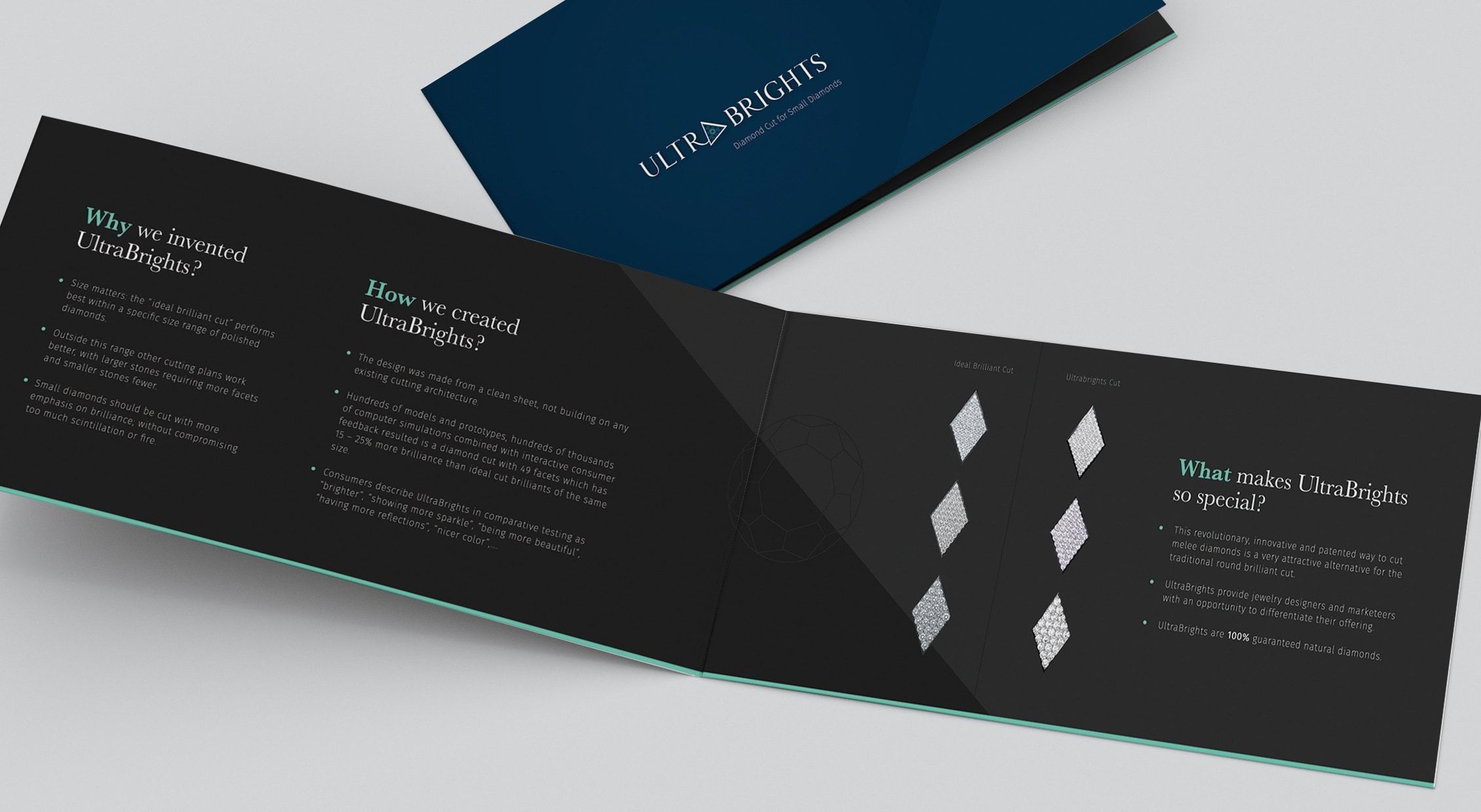 ออกแบบ brochure design detail